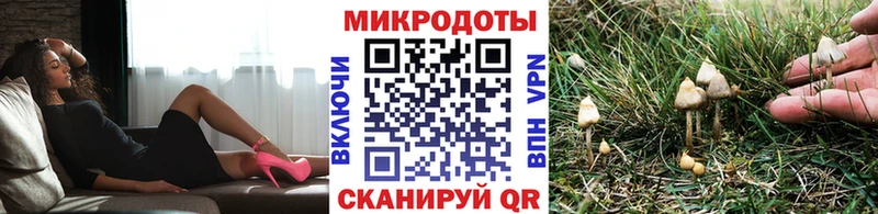 магазин продажи наркотиков  гидра рабочий сайт  Галлюциногенные грибы Psilocybine cubensis  Торжок 