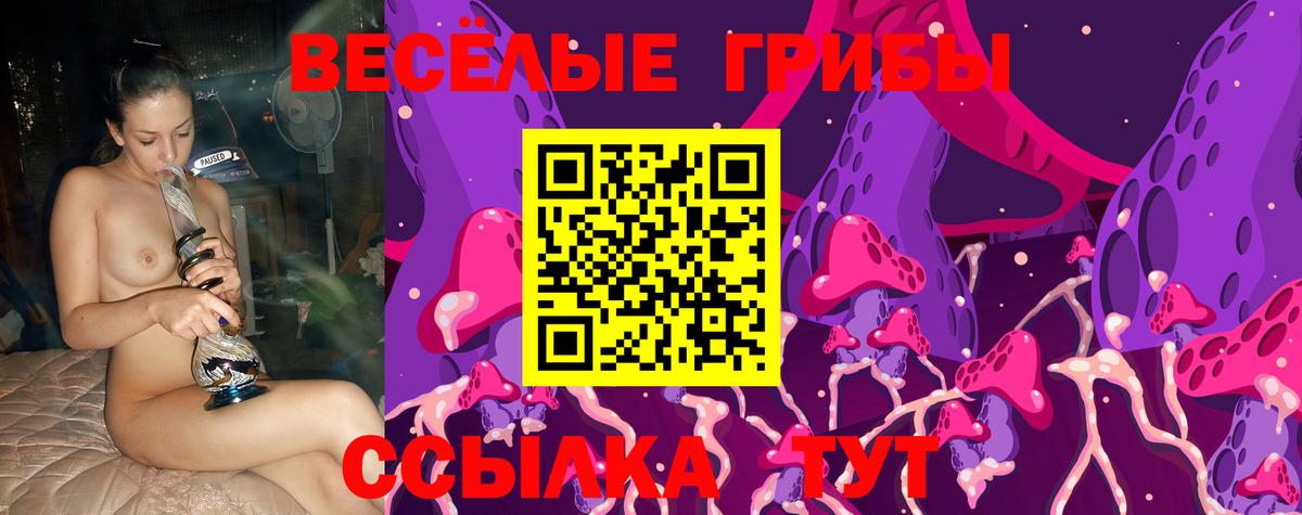 продажа наркотиков  Галлюциногенные грибы прущие грибы  Вход с VPN  Торжок 