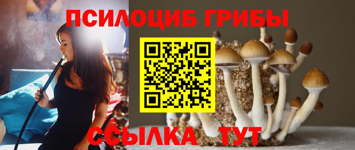 Галлюциногенные грибы Magic Shrooms Торжок