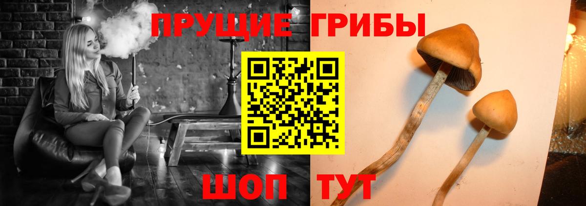 Псилоцибиновые грибы ЛСД Торжок